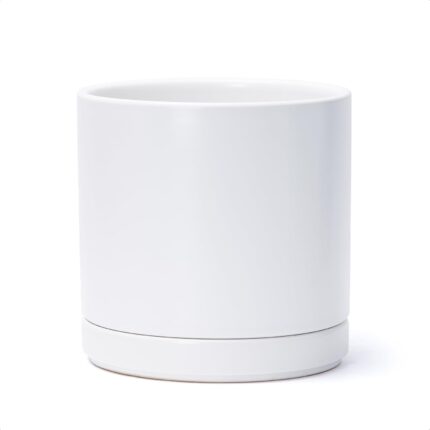 Ceramic Cylinder Planter with Saucer, 8.2 Inch