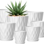Plant Pots with Trays