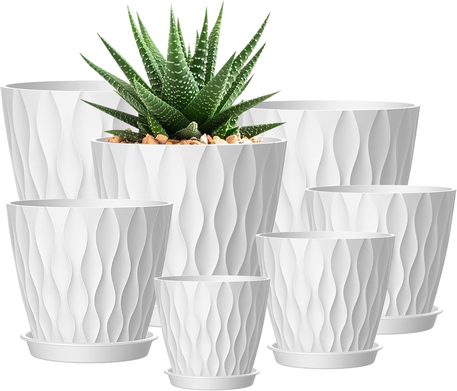 Plant Pots with Trays Plant Pots with Trays