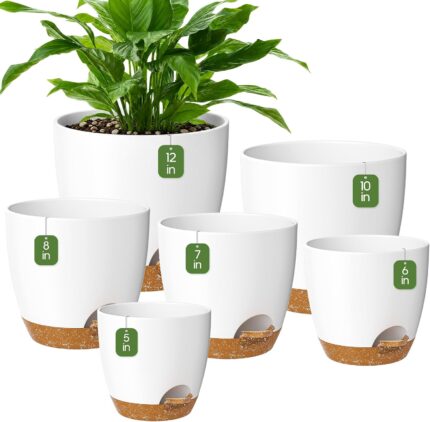 Self-Watering Plant Pot that Feeds Water to the Roots