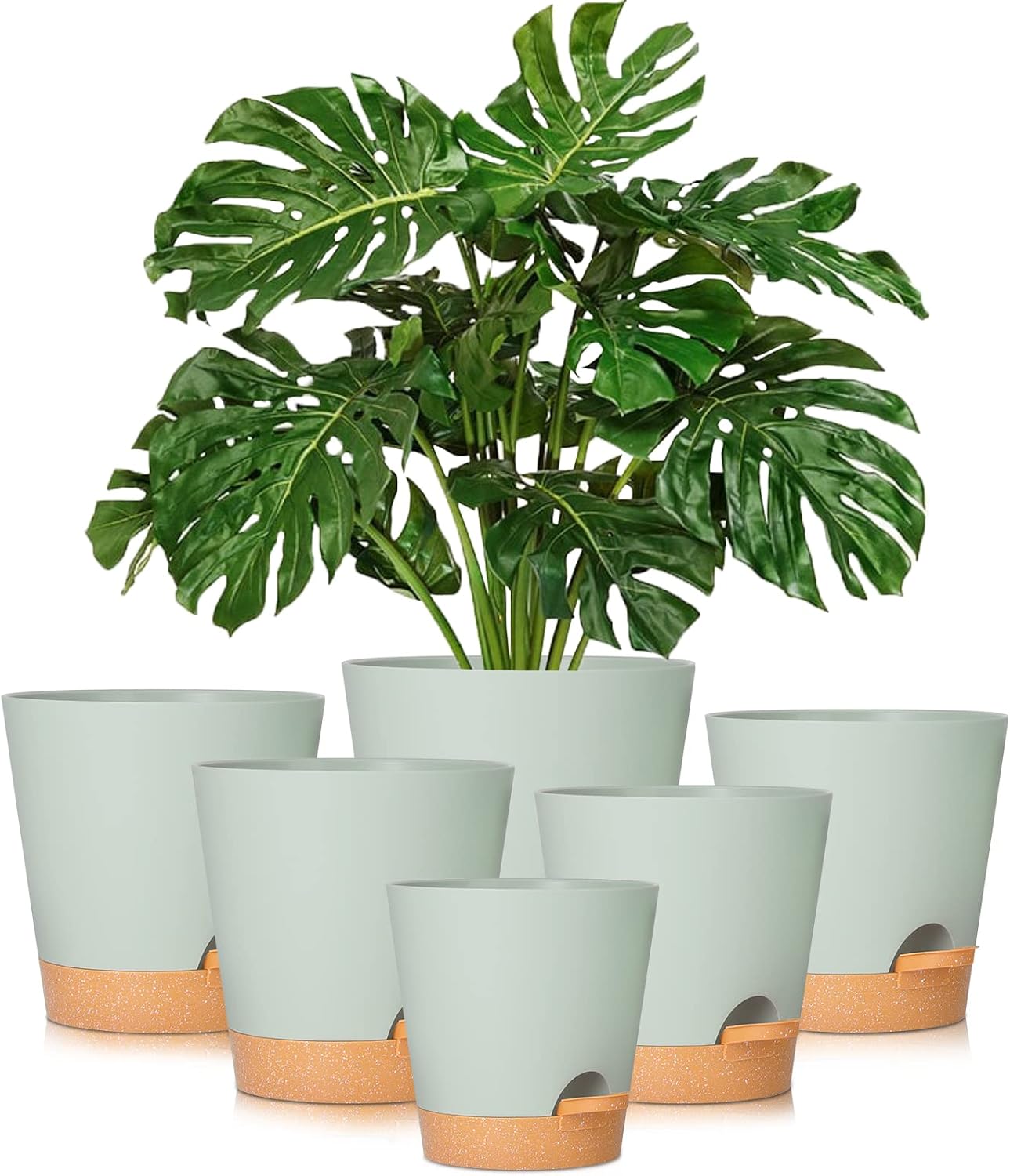 Self Watering Plant Pot Self Watering Plant Pot