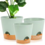 Self Watering Plant Pot
