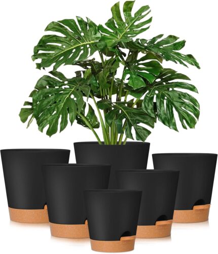 Self Watering Plant Pot