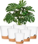 Self Watering Plant Pot