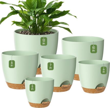 Self-Watering Plant Pot that Feeds Water to the Roots