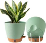 Self-Watering Planter Pot with Water Level Indicator