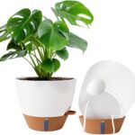 Self-Watering Planter Pot with Water Level Indicator
